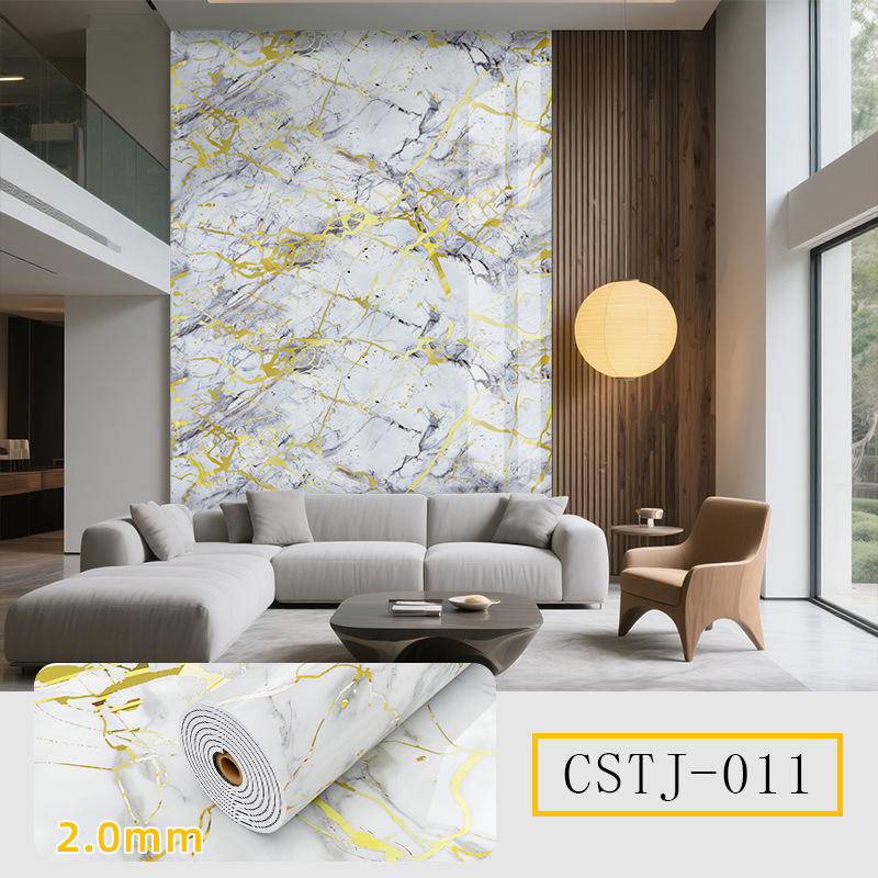 CSTJ011