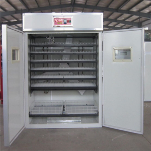 เครื่องฟักไข่/ตู้ฟักไข่เชิงพาณิชย์ยอดนิยม/ตู้ฟักไข่ - Product Image 5