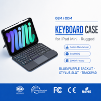 Clavier rétroéclairé RVB USB Type-C à vente directe d'usine en Chine pour iPad Mini 6 2021 118A