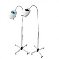 Lampe de blanchiment dentaire 60W pour consommables dentaires, accélérateur de blanchiment des dents