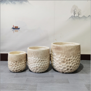 Jarrón Decorativo Nórdico para el Hogar, Maceta Irregular Creativa, Maceta para Flores Secas, Adorno para la Sala de Estar - Product Image 3