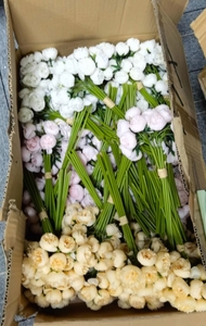 Fantaisie 27 têtes hybride thé Rose Bouquets floraux événements de mariage fête de noël décoration de la maison fleur artificielle - Product Image 3