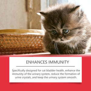 Complément alimentaire pour animaux de compagnie favorisant l'absorption des nutriments <span class=keywords><strong>et</strong></span> soulageant l'inconfort des chats <span class=keywords><strong>et</strong></span> des chiens - Product Image 5