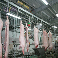 Conception professionnelle 50 100 200 porc par jour équipement d'abattoir de boucher pour ligne d'abattage de porc d'abattoir de truies