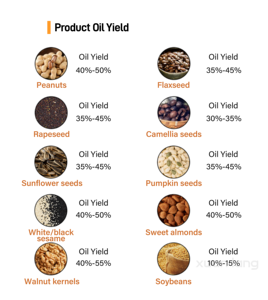 เครื่องกดน้ำมันแบบอัตโนมัติขนาดใหญ่สำหรับเมล็ดฝ้าย เมล็ดทานตะวัน เมล็ดเรพซีด แบบสกัดเย็น กำลังการผลิต 75 กก./ชม. - Product Image 6