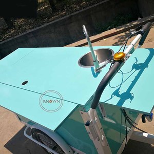 รถสามล้อตู้แช่แข็งแบบ OEM สำหรับขายไอศกรีมและเครื่องดื่มเย็นพลังงานแสงอาทิตย์ - Product Image 6