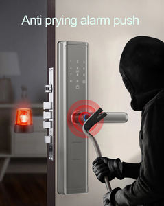 Tysh מנעול דלת חכם עם tuya tlock app חירום טעינה יציאה מספר ניהול משתמש מבנה נגד גניבה - Product Image 3