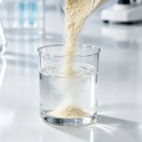 Poudre de vitamines Bifidobacterium de qualité alimentaire, haute activité, additif alimentaire pour animaux d'élevage, volailles, aquaculture, 25 kg/sac, 2 ans