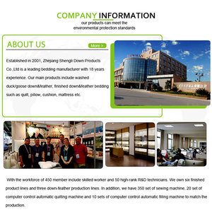 Bán Buôn Chất Lượng Hàng Đầu Như Vậy Mềm Plumas Ganso Rửa Trắng Ngỗng Xuống Chăn Ngỗng Lông - Product Image 4