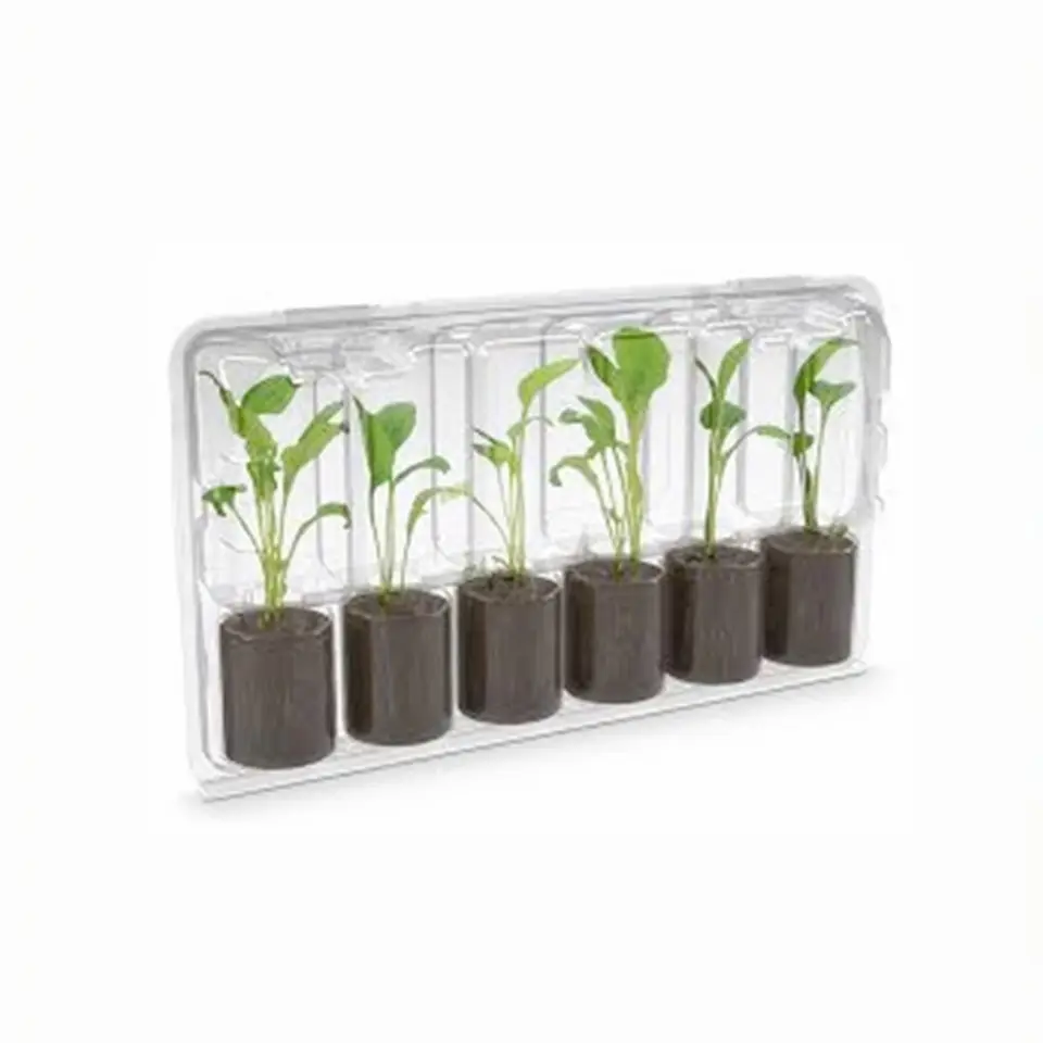 Hochwertige vakuum formende Blisterstopfen-Pflanzen transport packungen aus Kunststoff und Saat schalen packungen