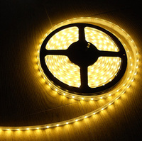 Machine de production de bande LED en cuivre IP65 de haute qualité 24V DC12V RGB Blanc chaud Blanc froid Bandes flexibles Éclairage de bureau Lampe PC Corps