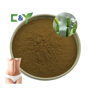 بودرة cissus quadrangularis طبيعية 100