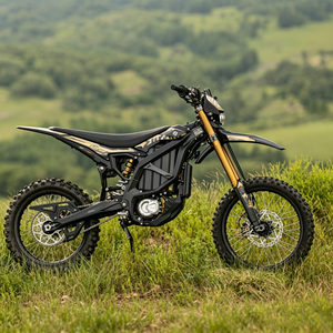 Promotion 2026 Nouvelle <span class=keywords><strong>Moto</strong></span> Tout-Terrain Électrique Surron Ultra Bee 24,5 kW 74 V avec <span class=keywords><strong>Chargeur</strong></span> Standard - Product Image 6