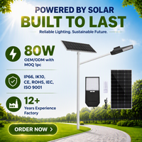 Lampe solaire intégrée 80W LED IP66 étanche, batterie LiFePO4, panneau solaire monocristallin, contrôleur MPPT, 15200 lumens