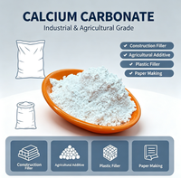 Poudre de Carbonate de Calcium Nano (CaCO3) de Haute Pureté (98%) de Qualité Industrielle et Alimentaire pour les Applications de Masterbatch Plastique et de Peinture