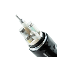Kabel Listrik Aluminium XLPE Tahan Api YJLHS2/YJLV/VLV 0.6/1kv untuk Penggunaan Bangunan Industri 100m Transmisi Daya