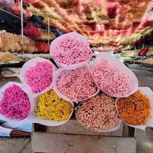 Vente en gros de fournitures de <span class=keywords><strong>fleuriste</strong></span> fleurs conservées souffle de bébé fleurs décoratives intérieures pour la décoration intérieure - Product Image 3