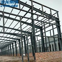 Conception de construction professionnelle, Structure légère, préfabriquée, usine de vêtement structurel, Structure en acier, entrepôt