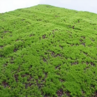 Tapis de mousse artificielle vert terreux avec granulés de terre et base floquée pour terrarium, bonsaï, modèle de diorama, décoration de paysage