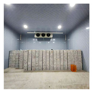 Grande chambre froide de réfrigération à l'ammoniac pour la conservation des fruits de mer, des poissons, des crevettes et des homards des ports et des zones de pêche - Product Image 5