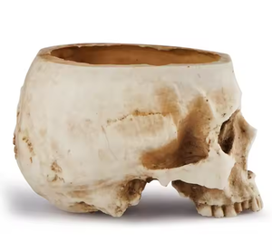 Halloween Cá Tính Nhựa Sọ Lọ Hoa Skb10 Sọ Gạt Tàn Đồ Trang Trí Độc Đáo Nhựa Thủ Công Mỹ Nghệ Cho Trang Trí Nội Thất - Product Image 6