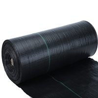 Stabilisation UV tissu tapis de mauvaises herbes rouleau agricole couvre-sol plante pépinière contrôle des mauvaises herbes Membrane noir PP tissé mauvaises herbes