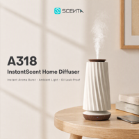 Diffuseur de parfum d'ambiance sans eau en gros, avec lumière LED électrique, OEM, coffret cadeau pour la maison, commande intelligente par application, machine à parfum d'air froid de table