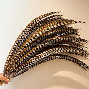 Plumas Naturales de Cola de Faisán Reeves de 100-110 cm para Tocados de Carnaval, Accesorios de Disfraces de Samba, Plumas Largas de Faisán - Product Image 1
