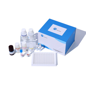 Con người hif1a hypoxia-inducible yếu tố 1-Alpha Elisa Kit - Product Image 2