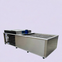 Máquina comercial para fabricar hielo en bloques, precio para el mercado africano, venta de fábrica, máquina para hacer hielo en bloques de 1, 2 y 3 toneladas