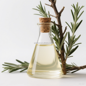 Ücretsiz Numune %10 Karnosik Asit Doğal Biberiye Yaprağı Ekstresi Gıda Sınıfı Antioksidan Yağ Bitkisel İçerikli Paketlenmiş Bitkisel Ekstrakt - Product Image 4