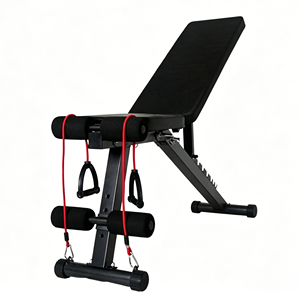 Foldable Adjustable <b>Dumbbell</b> Bench with Abdominal & Chest Press Features for Unisex - Product Image 1