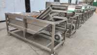 Automatische Groentewasmachine Commerciële Groente-En Fruitwasmachine Grote Groentewasmachine
