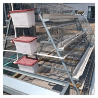 Vente en gros cage pliable en plastique pour poulets et poussins caisse de transport de volailles vivantes maison avec boîte de rangement pour volailles