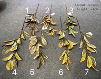 Daun Loquat Plastik Tiruan Grosir, Daun Lily, Daun Maple, Daun Kering Abadi, Bunga Kering