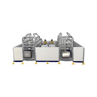 Ensemble complet prêt à l'exportation : Cage de mise bas pour porcelets, Caisse de mise bas intégrée double face, Système de caisses de mise bas pour truies