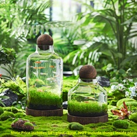 Offre spéciale aquarium en verre japonais transparent épaissi plateau en bois fond hydroponique grande bouteille vase en verre