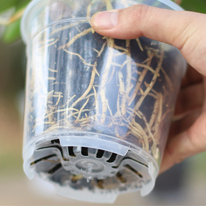 Pot de pépinière de <span class=keywords><strong>couleur</strong></span> claire Pot d'orchidée de jardin Pots de pépinière en plastique pour la maison pour le jardin et la plante agricole - Product Image 2