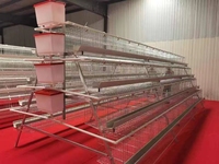 Prix bon marché a Type Cages pour pondeuses Cage pour poules pondeuses Cage pour poules pondeuses à vendre