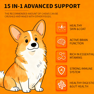 24 В 1 Мультивитаминные жевательные добавки OEM/OM для лечения зрения собак, кожной аллергии, пищеварения и ожирения - Product Image 3
