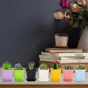 Maceta de plástico para semillero de flores, contenedor cuadrado colorido para plantas de interior y <span class=keywords><strong>exterior</strong></span>, para su habitación, jardín y oficina - Product Image 6