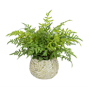 Best-Selling Small Artificial Fern - Cheap Potted Desktop Decoration - Product Image 1