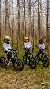Motocicleta Mini Pit Bike de 20 Pulgadas, 48V, 2500W, 40km/h, Motocross - Product Image 1