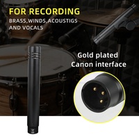 DS7 Professionnel Ensemble de 7 Microphones Filaire Métallique pour Batterie, Micro Grosse Caisse pour Scène et Usage Vocal