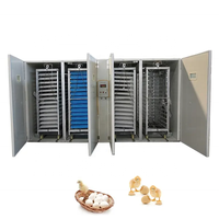 Incubateur d'oeufs de volaille commercial éclosoir machine dinde oiseau équipement de caille