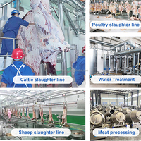 Maisheng Projet clé en main Abattoir porcin et usine de transformation de la viande Équipement d'abattoir Ligne d'abattage porcine