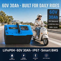 Batterie liquide 60V 30Ah, étanche IP67, BMS intelligent, LiFePO4, pour moto électrique, scooter électrique