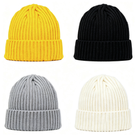Bonnet en tricot côtelé vertical uni, style minimaliste, décontracté, doux, chaud et résistant au froid, idéal pour la photographie de rue et les activités de plein air