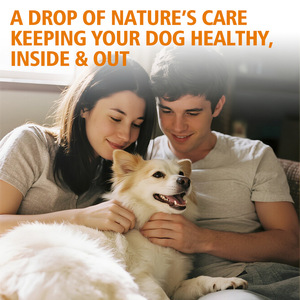 OEM/ODM suplemen perawatan kesehatan hewan peliharaan tetes cairan infeksi ragi untuk properti anti pruritik dan antijamur - Product Image 4