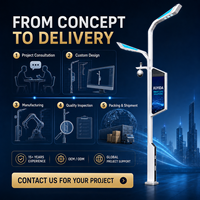 Farola Inteligente de Doble Brazo XUYIDA con Cámara PTZ, Pantalla LED, WiFi 5G, IP66 Impermeable para Carreteras de Ciudades Inteligentes